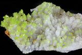 Pyromorphite Crystals on Quartz - China #63699-1